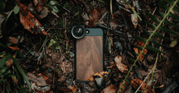 SMS category image SMS category image